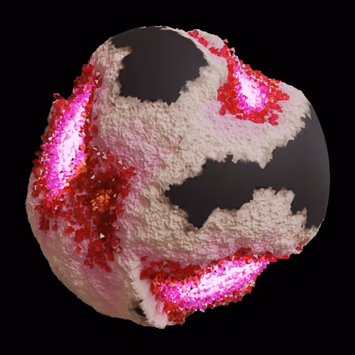 Asm Gen Ii Brains