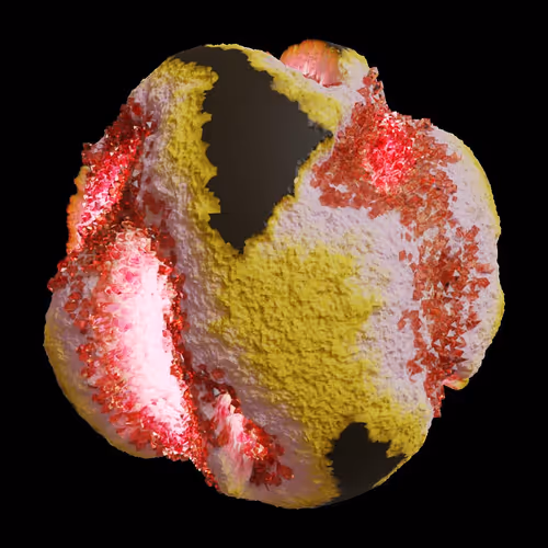 Asm Gen Ii Brains