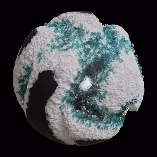 Asm Gen Ii Brains