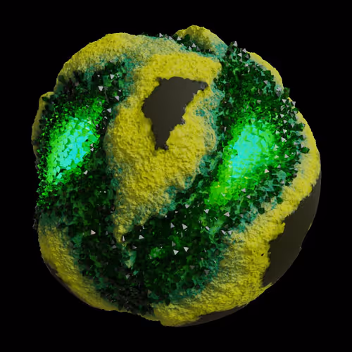 Asm Gen Ii Brains