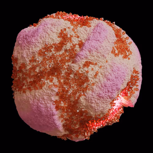 Asm Gen Ii Brains