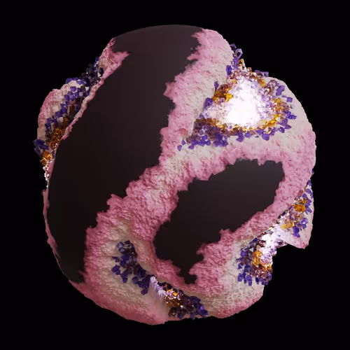 Asm Gen Ii Brains