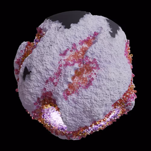 Asm Gen Ii Brains