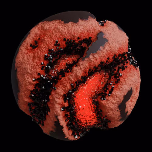 Asm Gen Ii Brains
