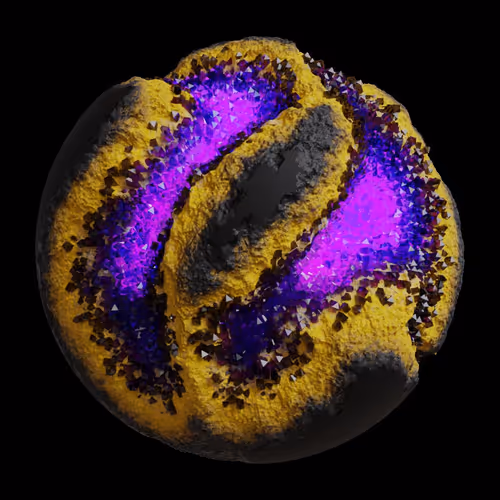 Asm Gen Ii Brains