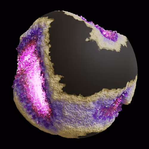 Asm Gen Ii Brains