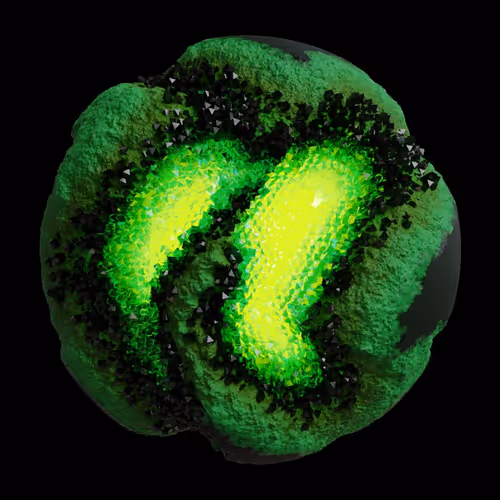 Asm Gen Ii Brains