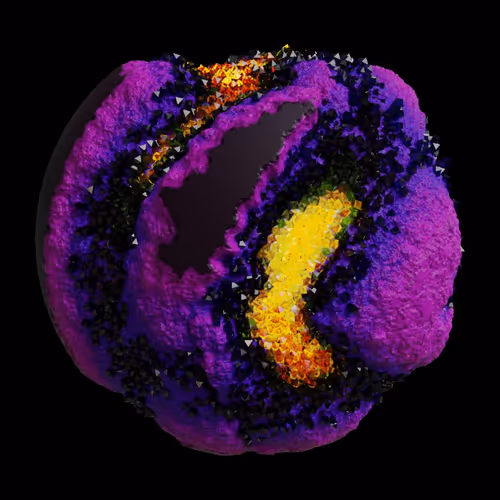 Asm Gen Ii Brains