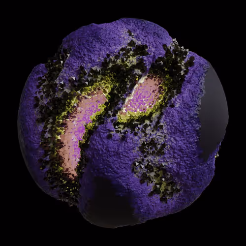 Asm Gen Ii Brains
