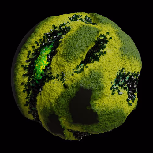 Asm Gen Ii Brains