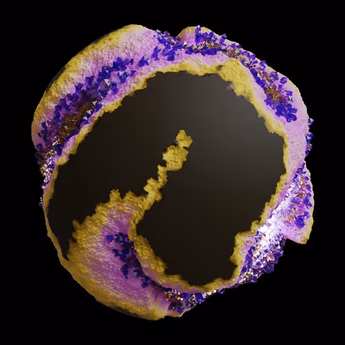 Asm Gen Ii Brains