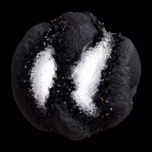 Asm Gen Ii Brains