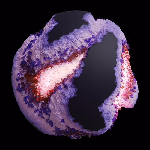 Asm Gen Ii Brains