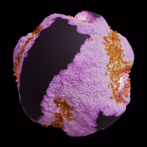 Asm Gen Ii Brains