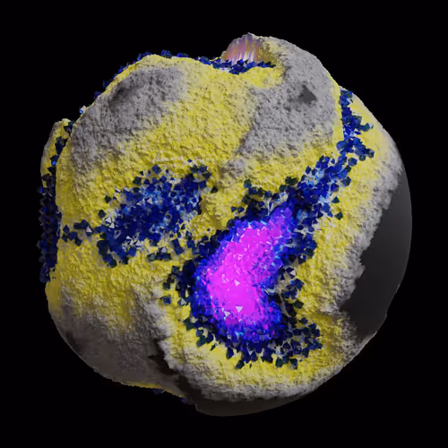 Asm Gen Ii Brains