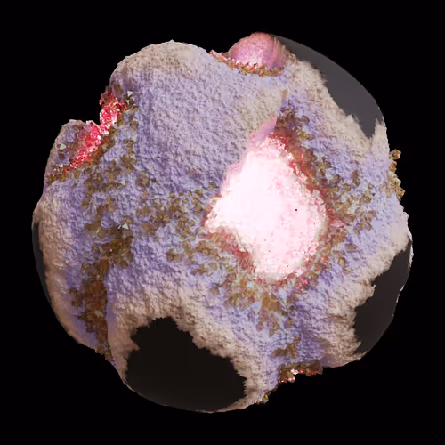 Asm Gen Ii Brains