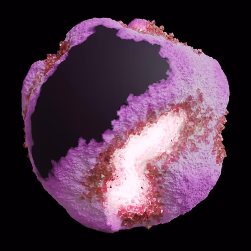 Asm Gen Ii Brains