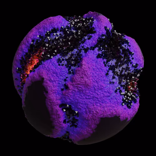 Asm Gen Ii Brains