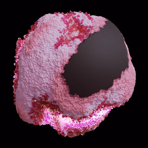 Asm Gen Ii Brains