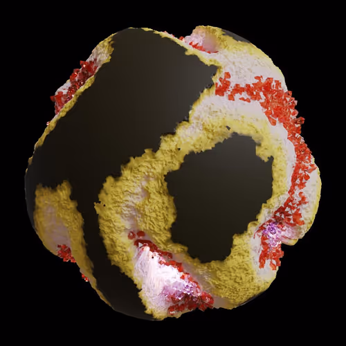 Asm Gen Ii Brains