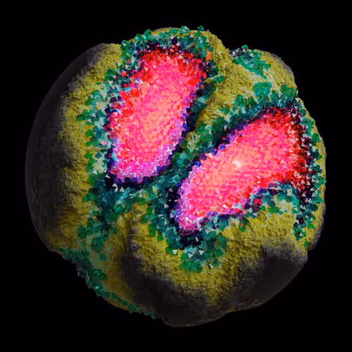 Asm Gen Ii Brains