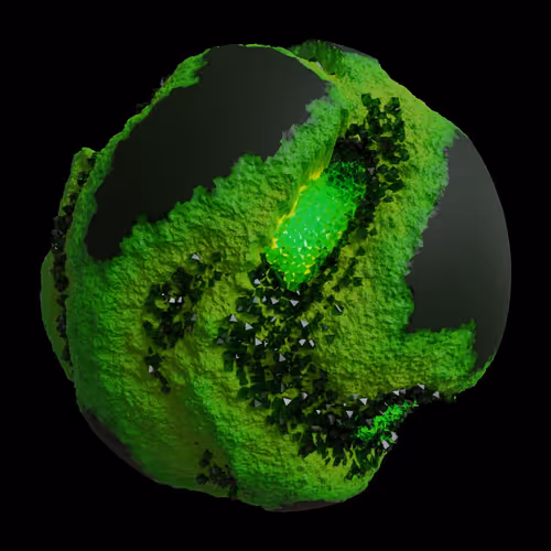 Asm Gen Ii Brains