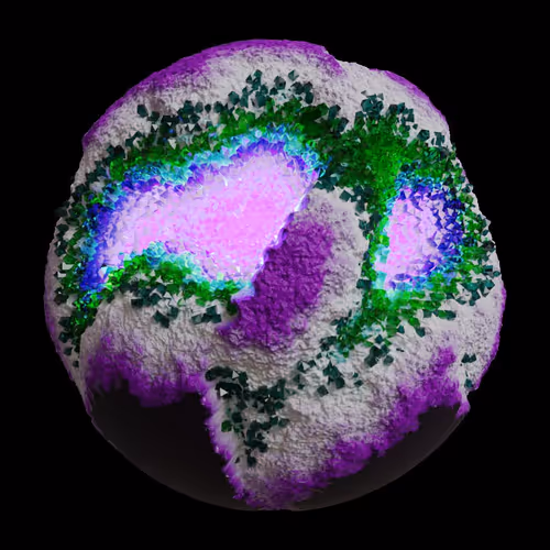 Asm Gen Ii Brains