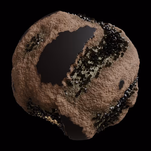 Asm Gen Ii Brains