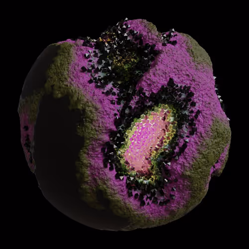 Asm Gen Ii Brains