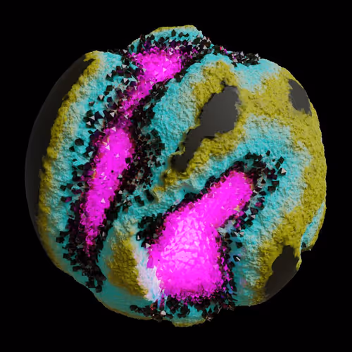 Asm Gen Ii Brains