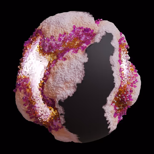 Asm Gen Ii Brains