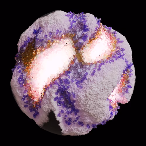 Asm Gen Ii Brains