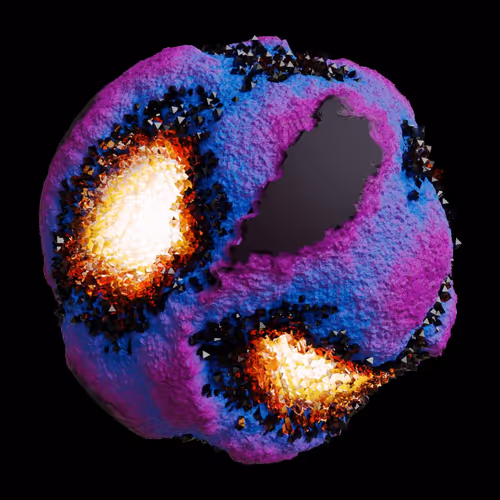 Asm Gen Ii Brains