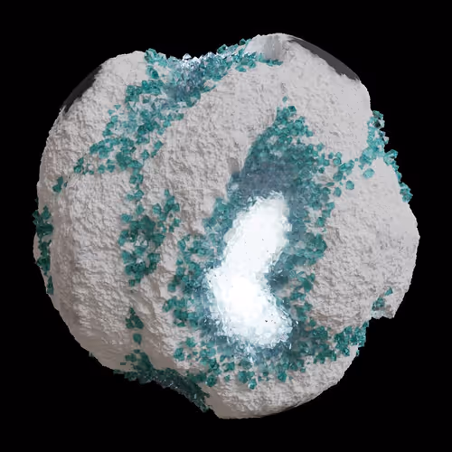 Asm Gen Ii Brains