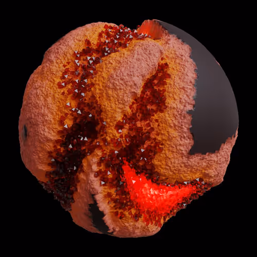 Asm Gen Ii Brains