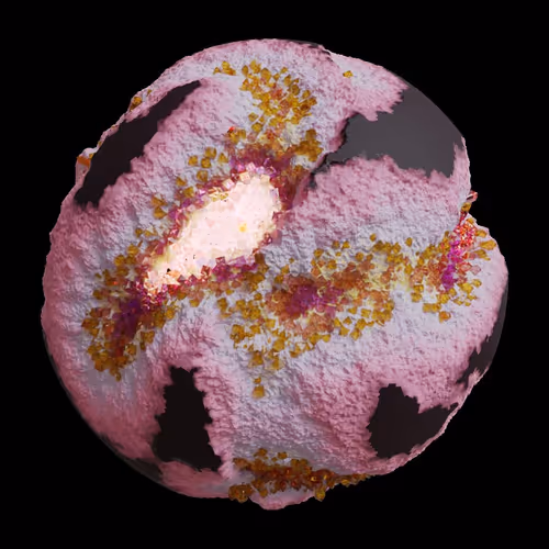 Asm Gen Ii Brains
