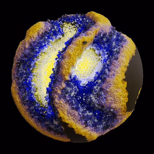 Asm Gen Ii Brains