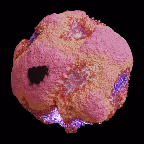 Asm Gen Ii Brains