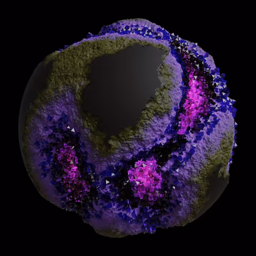 Asm Gen Ii Brains