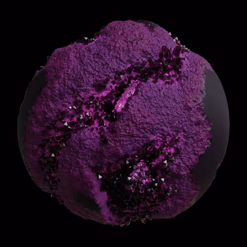 Asm Gen Ii Brains