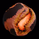 46890