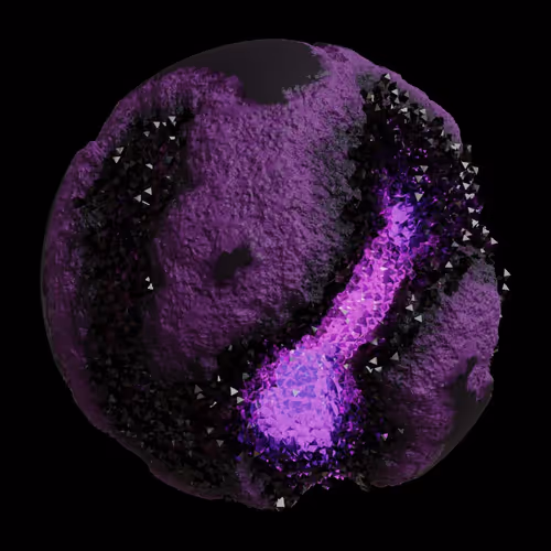 Asm Gen Ii Brains