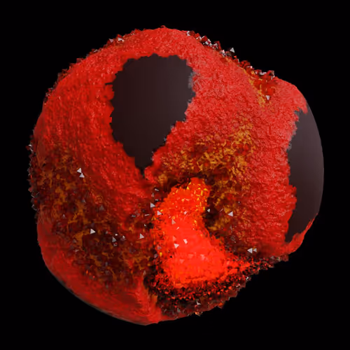 Asm Gen Ii Brains