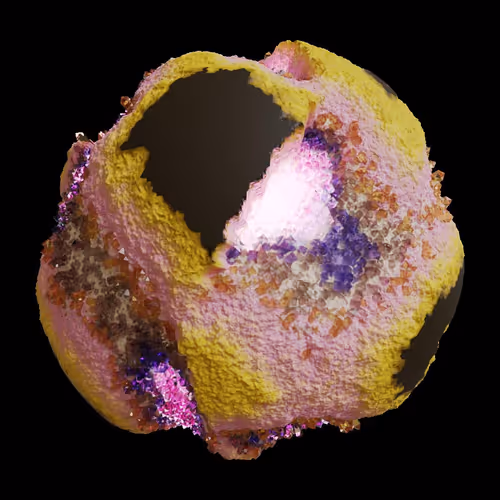 Asm Gen Ii Brains