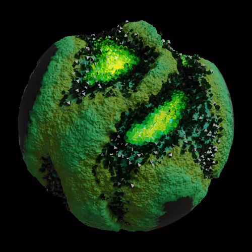 Asm Gen Ii Brains