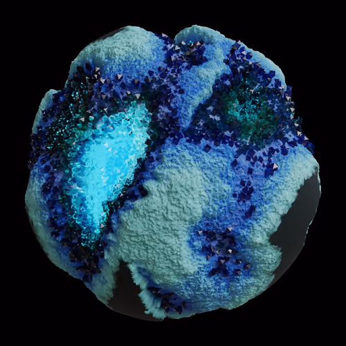 Asm Gen Ii Brains
