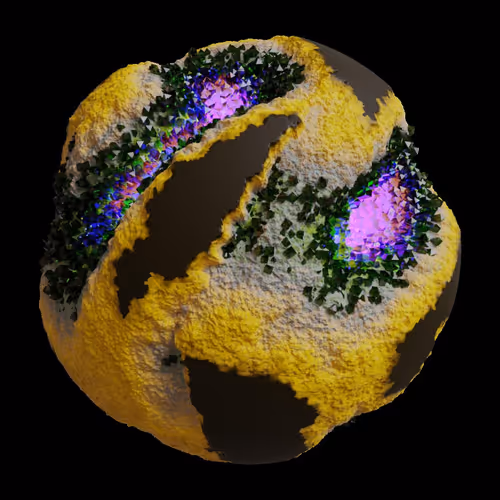 Asm Gen Ii Brains
