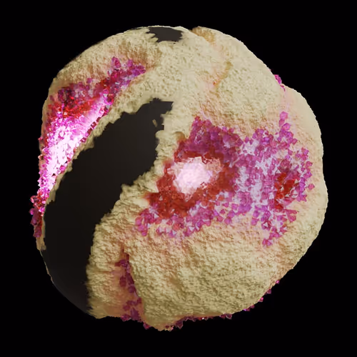 Asm Gen Ii Brains
