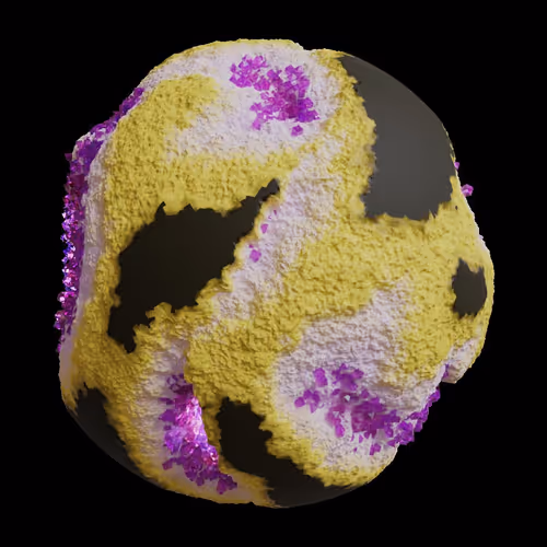 Asm Gen Ii Brains