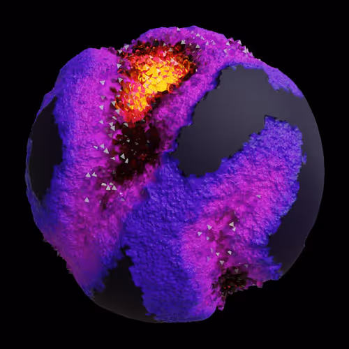 Asm Gen Ii Brains